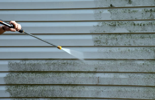 Best Roof Pressure Washing  in Batesville, TX